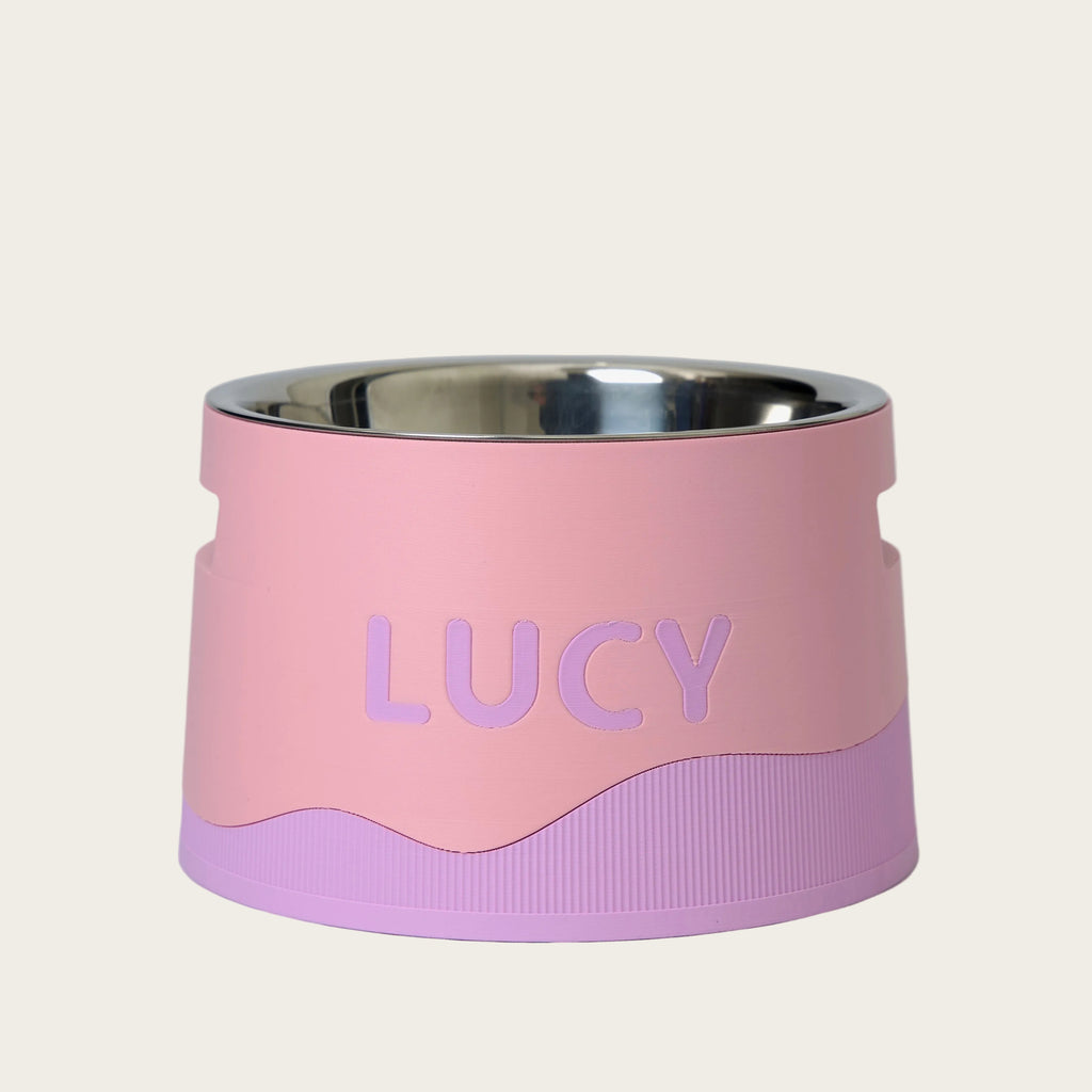 Lilac & Pink