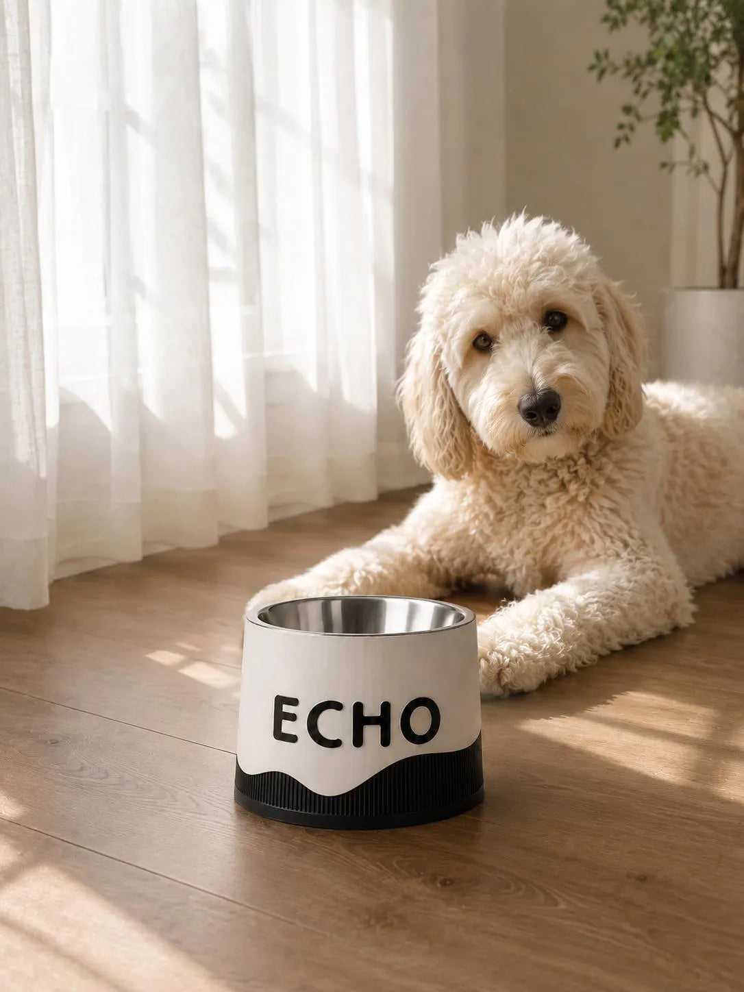 The "Echo"